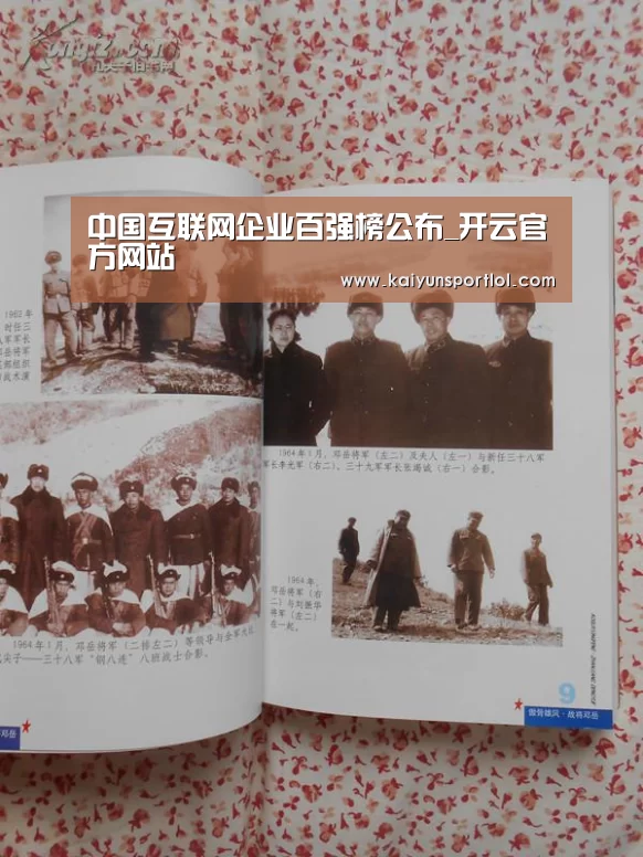 中国互联网企业百强榜公布_开云官方网站(图2) 开云体育官网