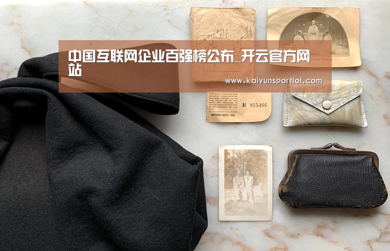 中国互联网企业百强榜公布_开云官方网站(图4) 开云热门赛事