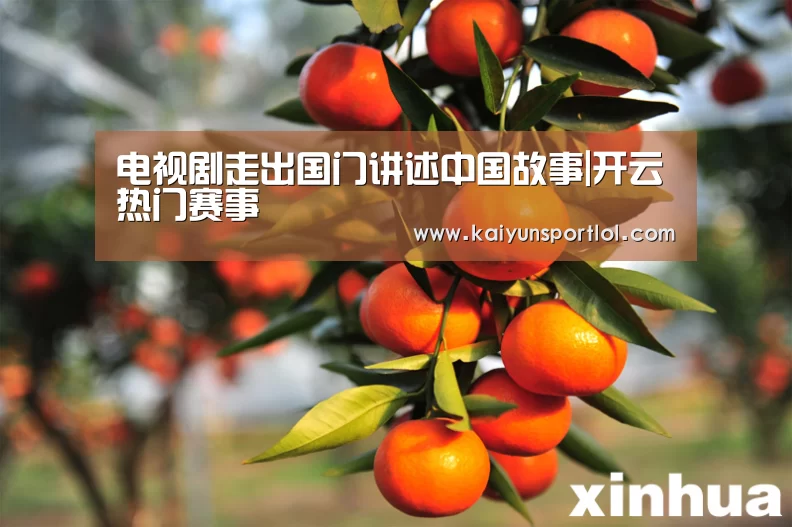 电视剧走出国门讲述中国故事|开云热门赛事(图3) 开云热门赛事