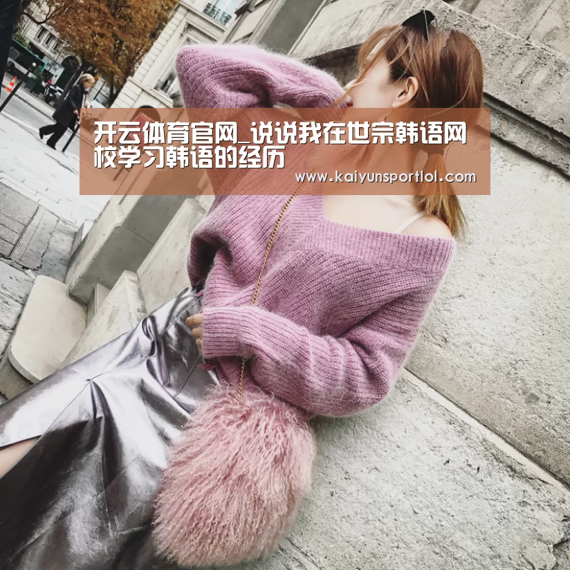 开云体育官网_说说我在世宗韩语网校学习韩语的经历(图3) 开云官方网站